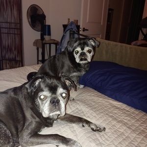 Meet your Posher, Donna